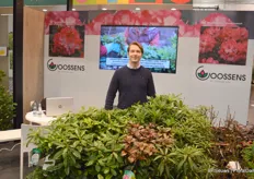 Tom Goossens with Goossens, the biggest producer of rhododendron young plants in Europe